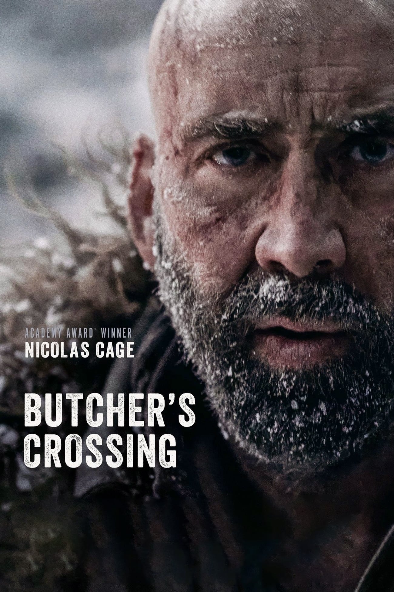 مشاهدة فيلم Butcher’s Crossing 2023 مترجم
